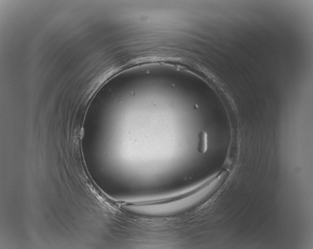 X0000076431185200610161145