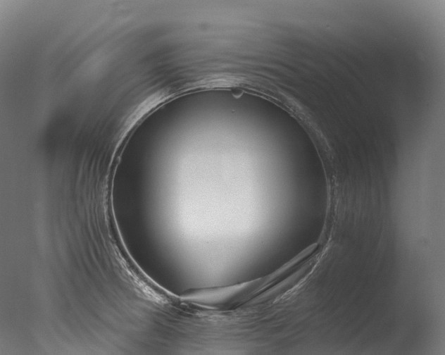 X0000076431186200610161144