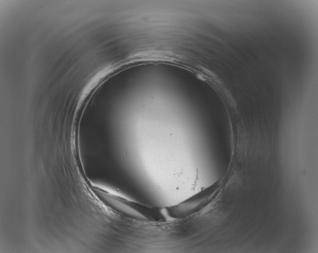 X0000076431188200610161144