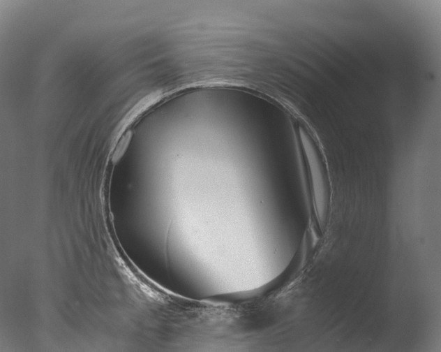 X0000076431189200610161144