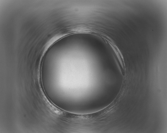 X0000076431195200610161144