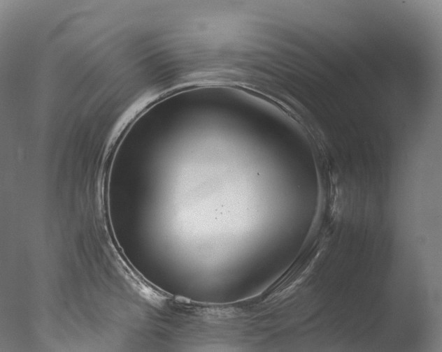 X0000076431196200610161144