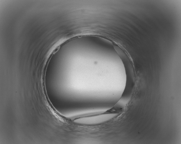 X0000076431197200610161144