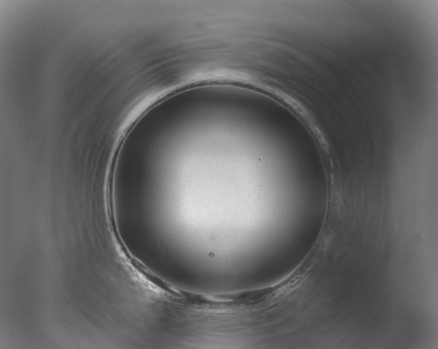 X0000076431199200610161144