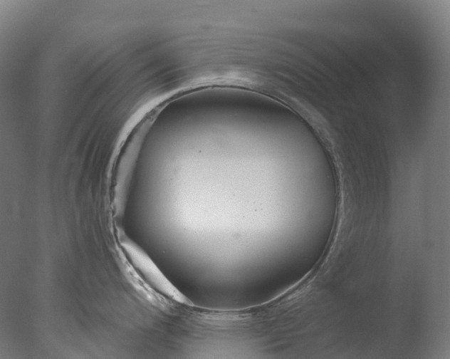 X0000076431200200610161144