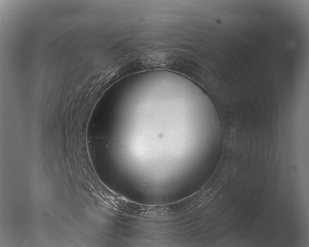 X0000076431201200610161143
