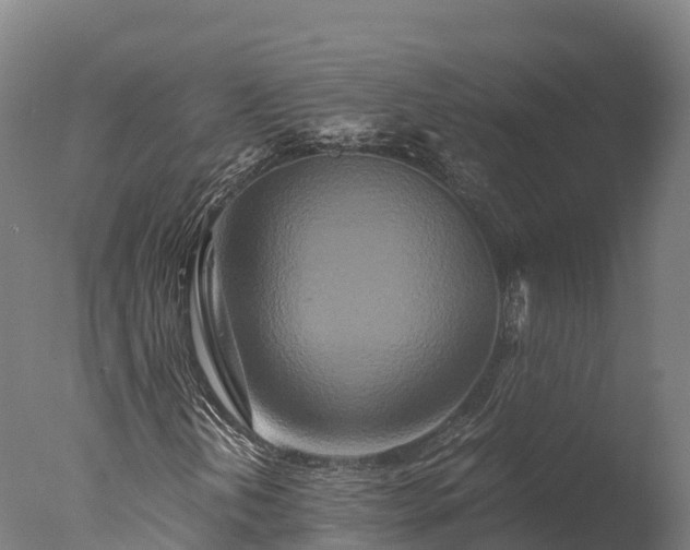 X0000076431202200610161143