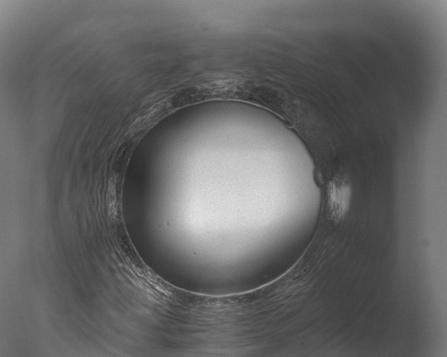 X0000076431203200610161143