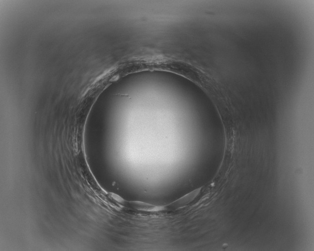 X0000076431205200610161144