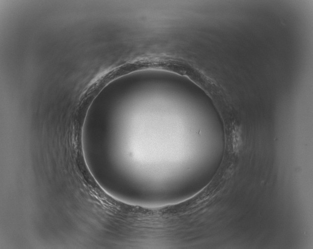 X0000076431206200610161144
