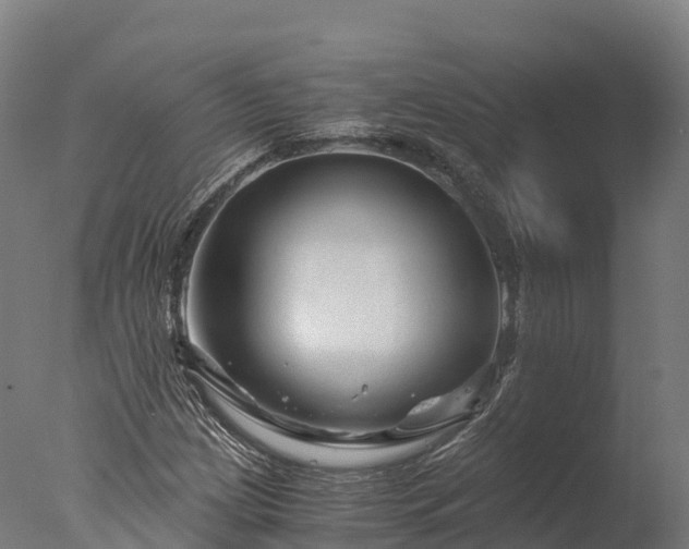 X0000076431209200610161144