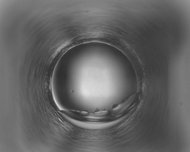 X0000076431210200610161144