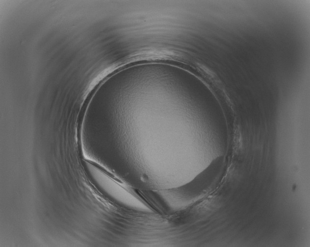 X0000076431226200610161144