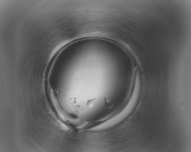 X0000076431230200610161144