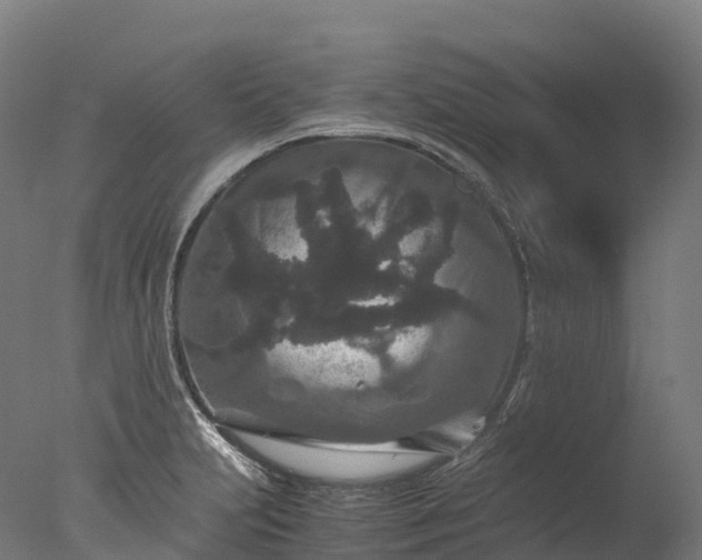 X0000076431231200610161144