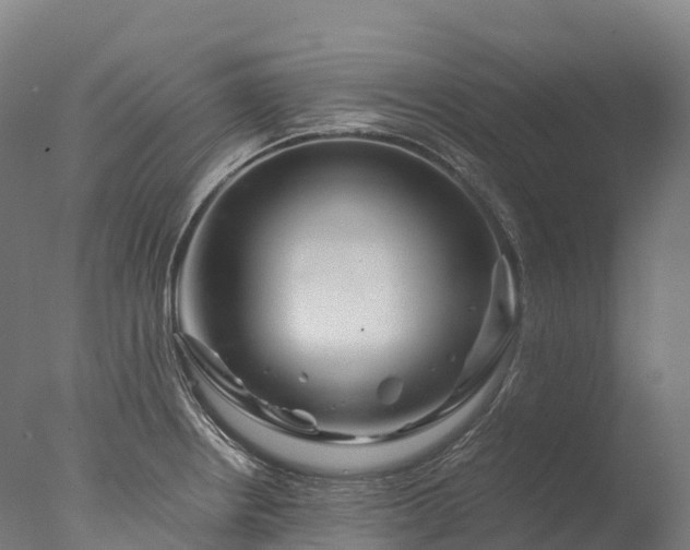 X0000076431234200610161144