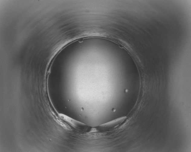 X0000076431236200610161144