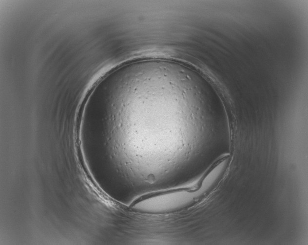 X0000076431240200610161144