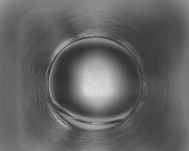 X0000076431242200610161144