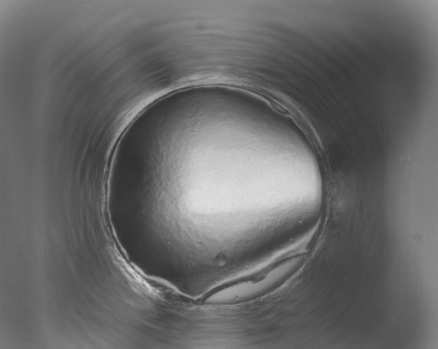 X0000076431244200610161144