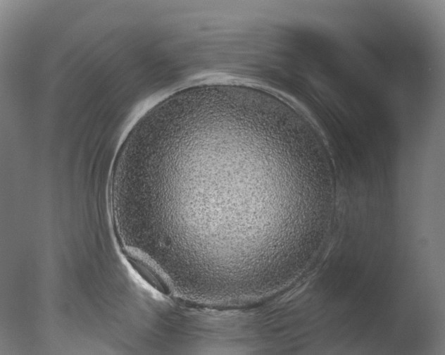 X0000076431247200610161144