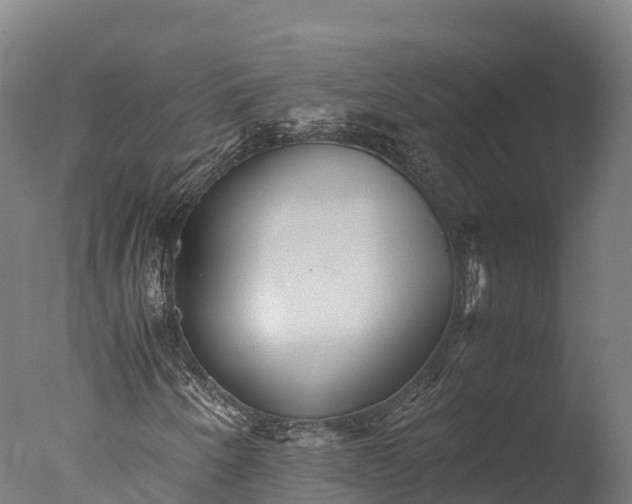 X0000076431250200610161143