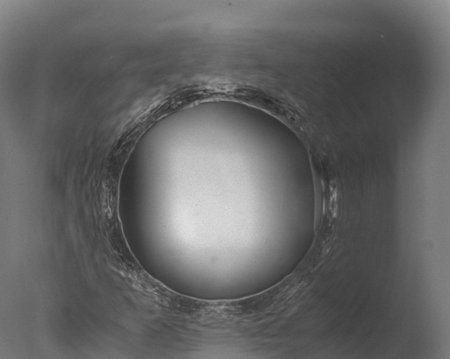 X0000076431253200610161143