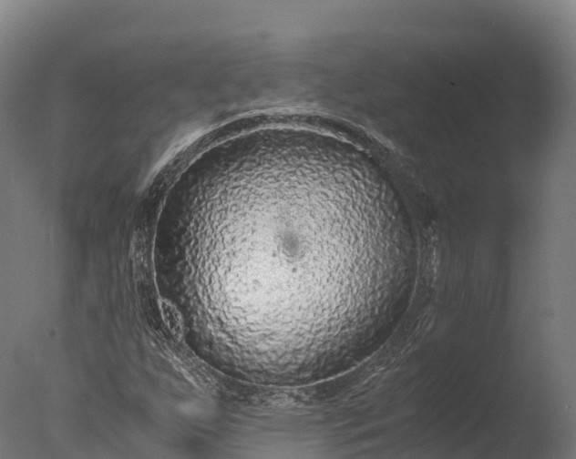 X0000076431255200610161143
