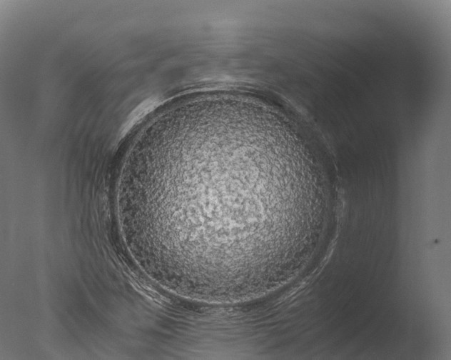 X0000076431259200610161143