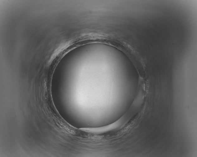 X0000076431261200610161143
