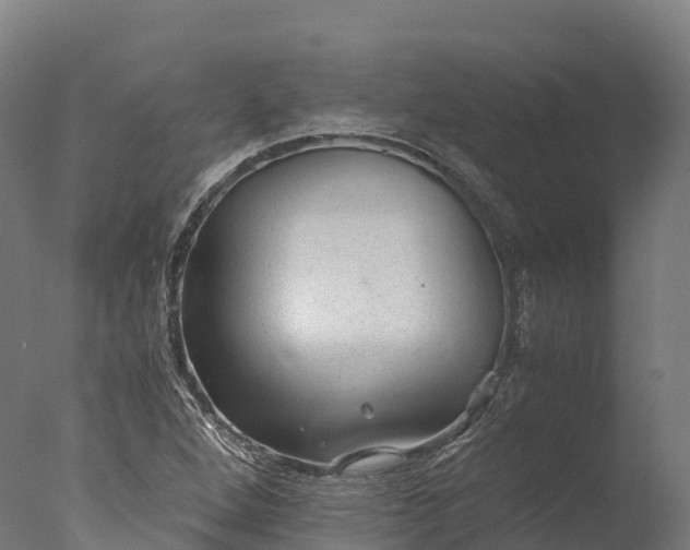 X0000076431264200610161143