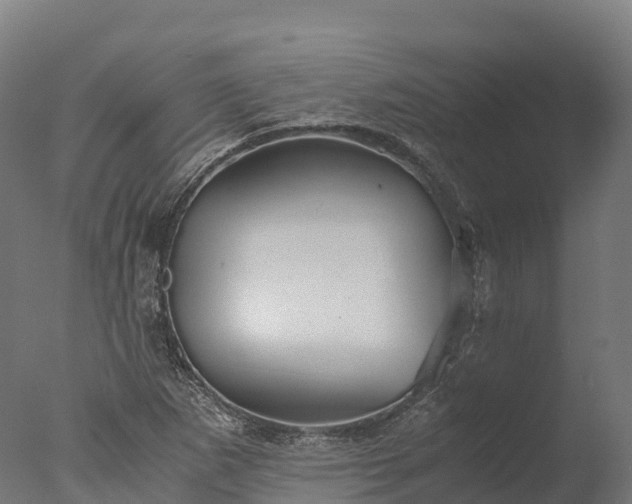 X0000076431265200610161143