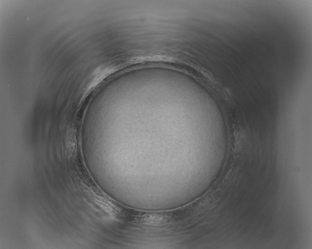 X0000076431266200610161143