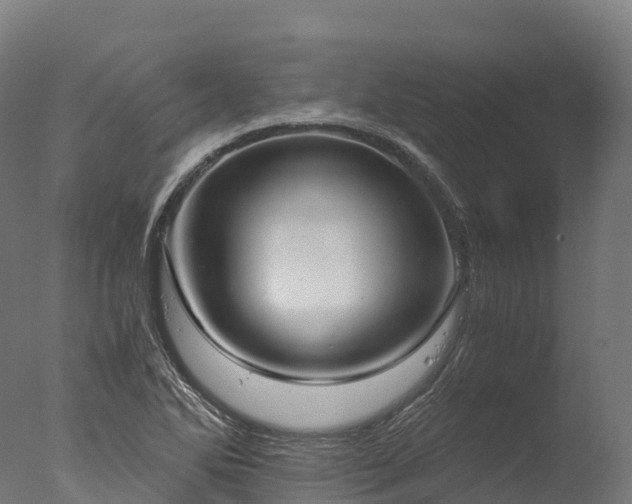 X0000076431270200610161143