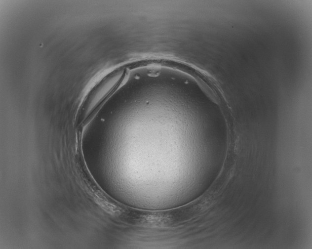 X0000076431271200610161143