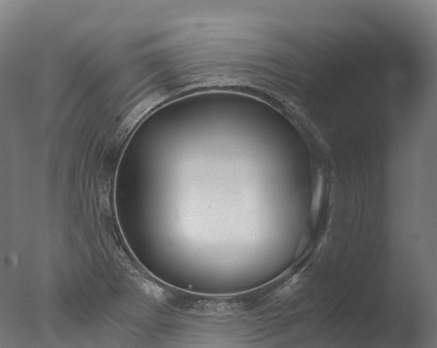 X0000076431273200610161143