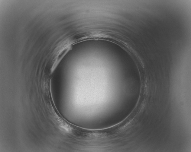 X0000076431281200610161143