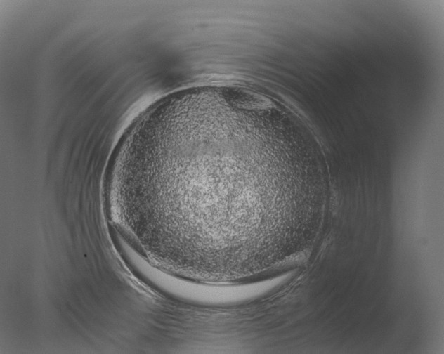 X0000076431283200610161143