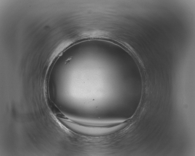 X0000076431285200610161143