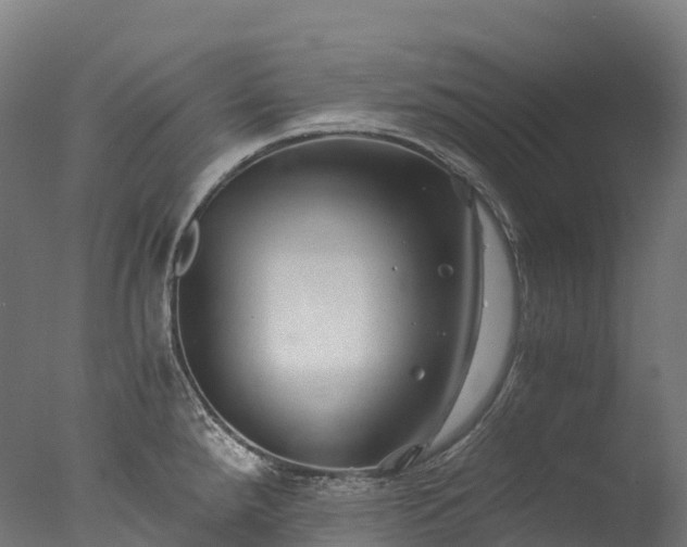 X0000076431288200610161143