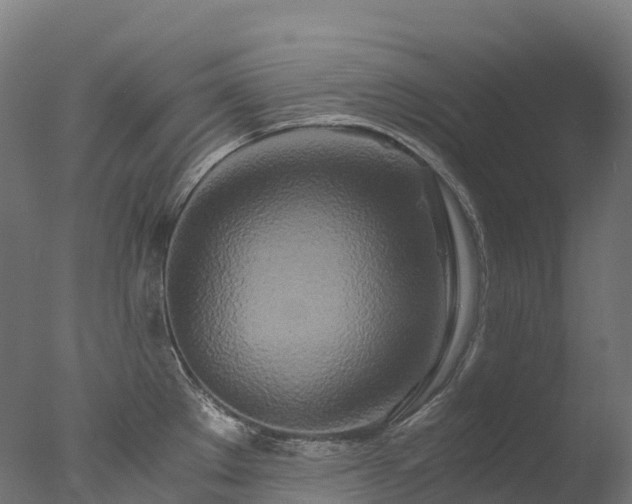 X0000076431289200610161143