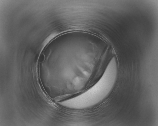 X0000076431291200610161143