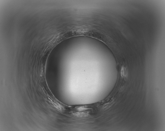 X0000076431299200610161142