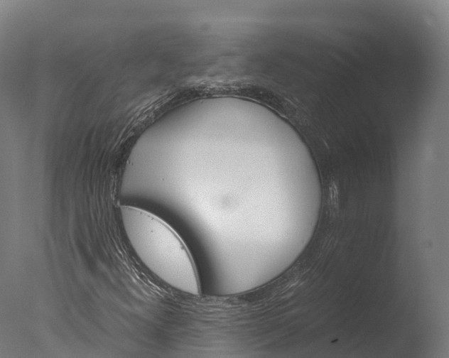 X0000076431300200610161142