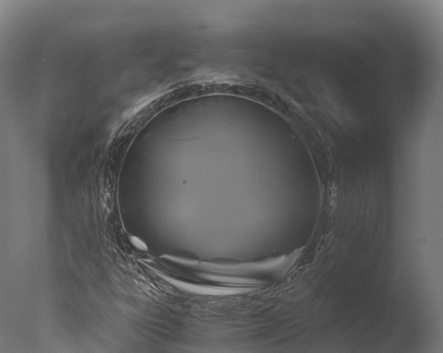 X0000076431303200610161142