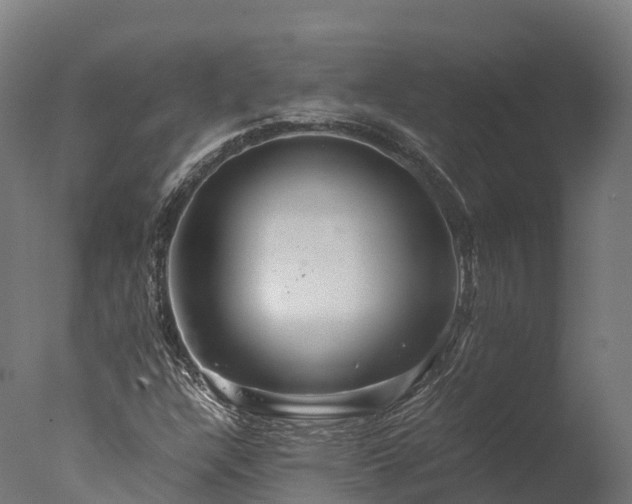 X0000076431304200610161142