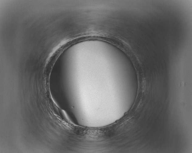 X0000076431310200610161142