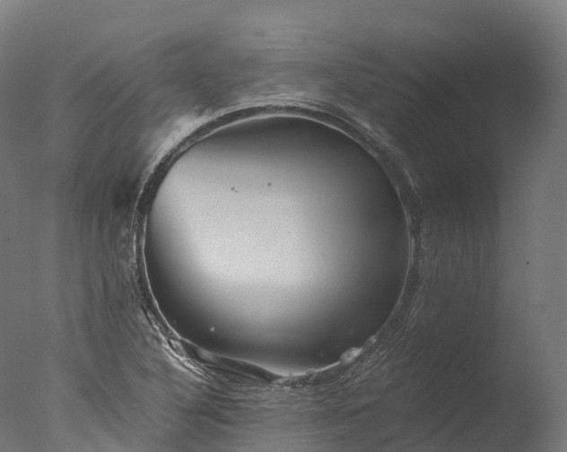 X0000076431316200610161142