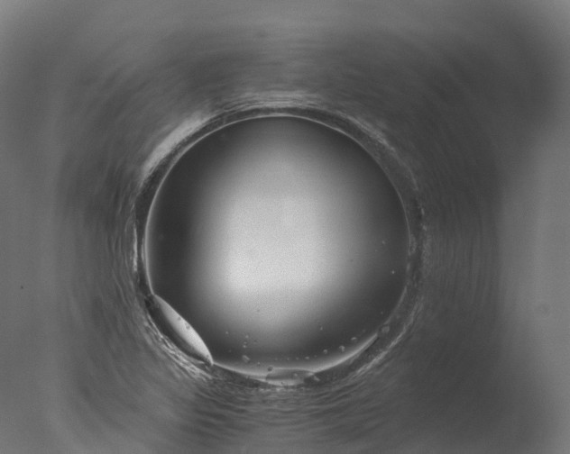 X0000076431317200610161142