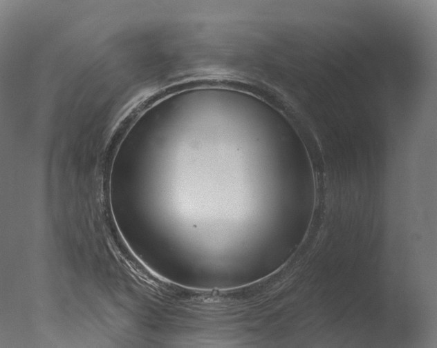 X0000076431318200610161142